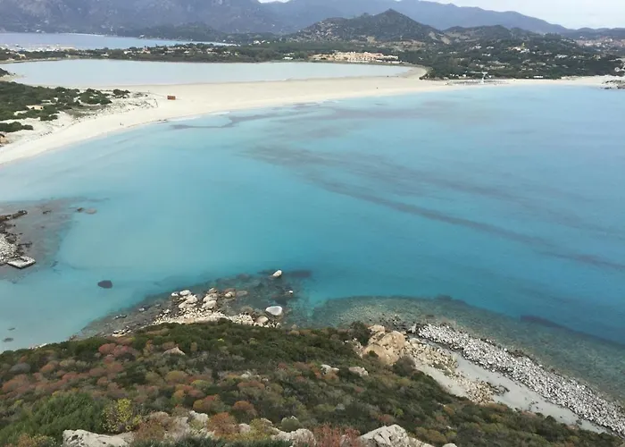 Lemon * 빌라시미우스