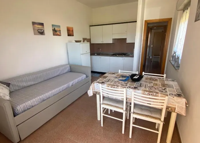 Lemon * 빌라시미우스