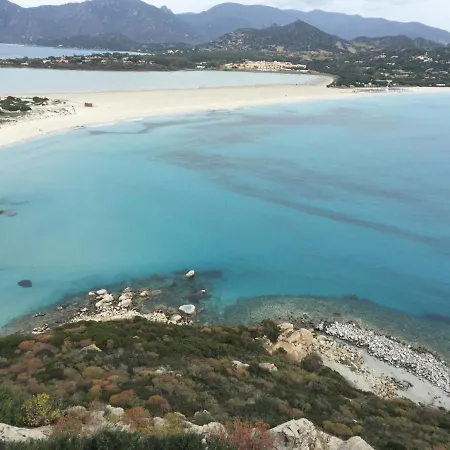 Lemon * וילסימיוס